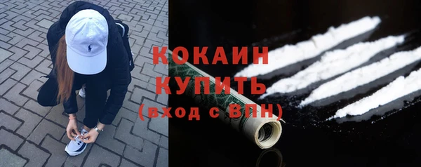 эйфоретик Вяземский