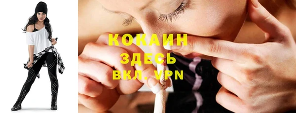 эйфоретик Вяземский
