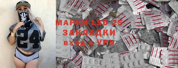 эйфоретик Вяземский