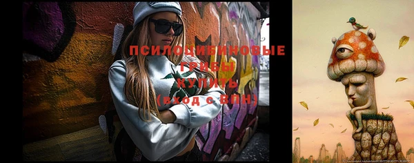 эйфоретик Вяземский
