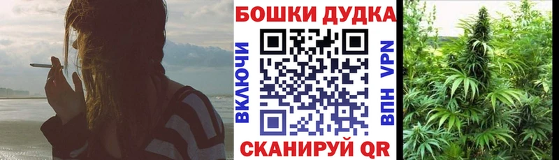 Конопля индика  Змеиногорск 